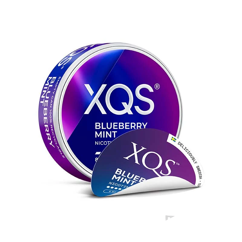 XQS Blueberry Mint nicotine pouches